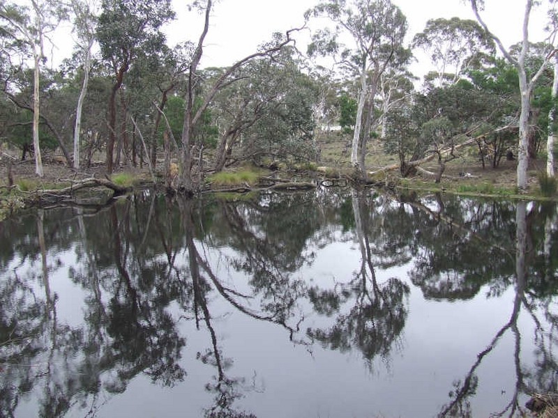 245 Winfarthing Road, Marulan NSW 2579