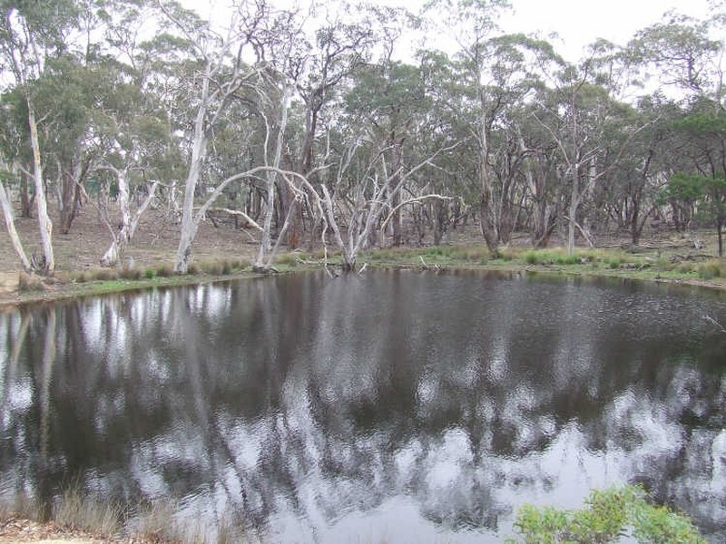 245 Winfarthing Road, Marulan NSW 2579