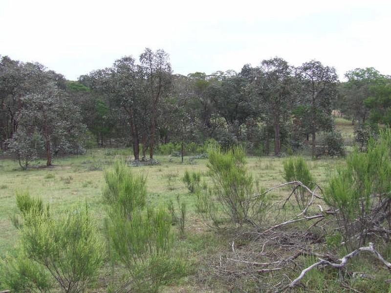 245 Winfarthing Road, Marulan NSW 2579