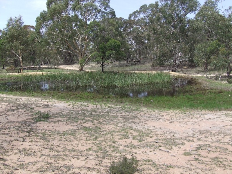 269 Sturgess Road, Tarago NSW 2580