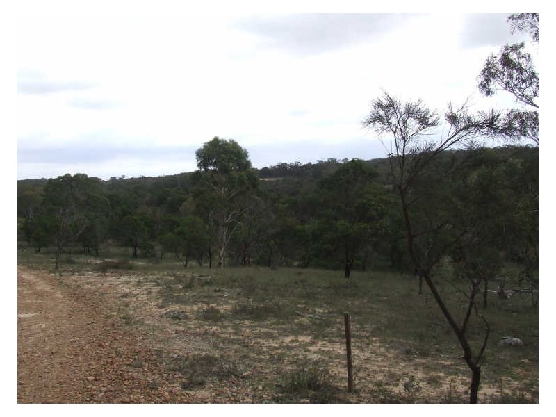 269 Sturgess Road, Tarago NSW 2580