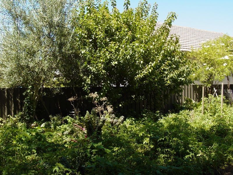 63 Kinghorne Street, Goulburn NSW 2580