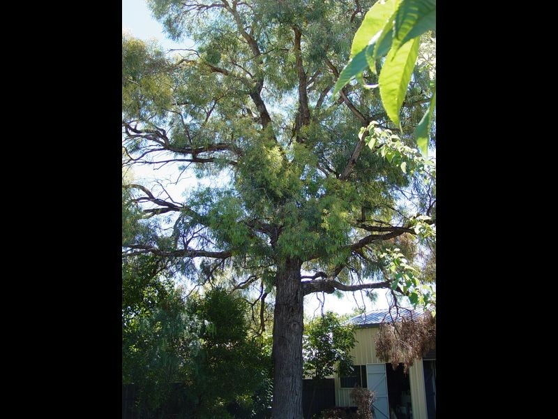 63 Kinghorne Street, Goulburn NSW 2580