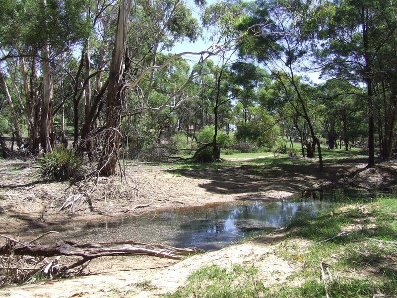 265 Sturgess Road, Tarago NSW 2580