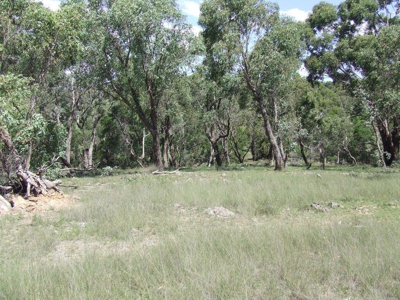 265 Sturgess Road, Tarago NSW 2580