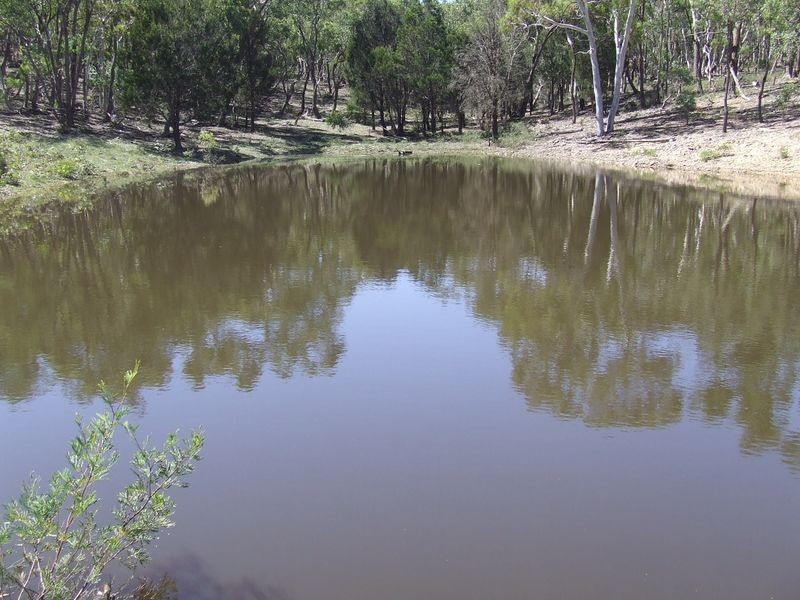 265 Sturgess Road, Tarago NSW 2580