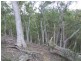430 Yarralaw Road, Bungonia NSW 2580