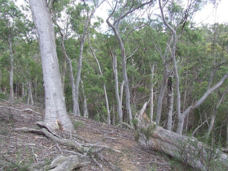 430 Yarralaw Road, Bungonia NSW 2580