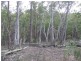 430 Yarralaw Road, Bungonia NSW 2580