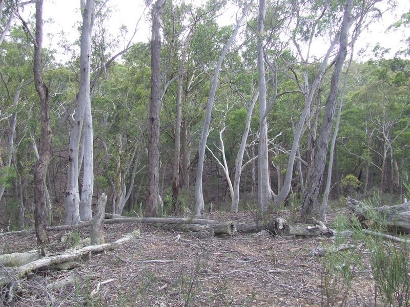 430 Yarralaw Road, Bungonia NSW 2580