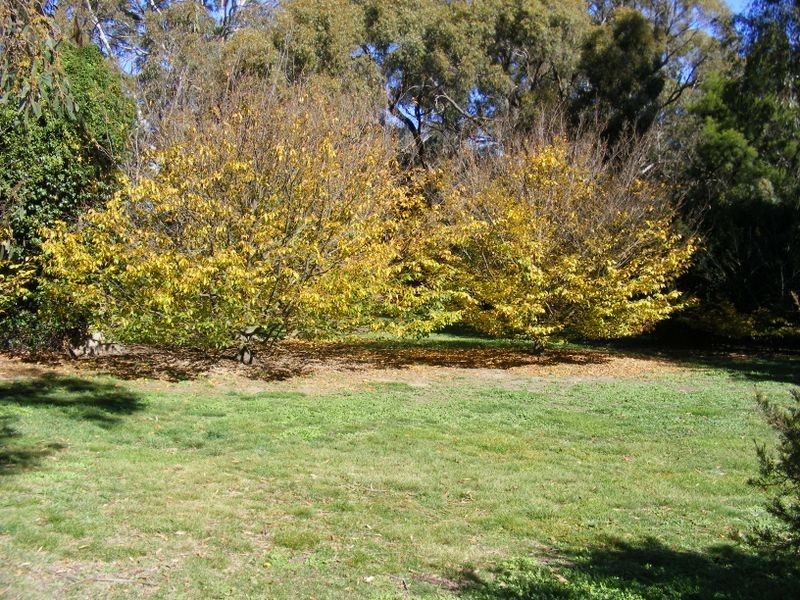 Lot 2 Hewitts Lane, Grabben Gullen NSW 2583