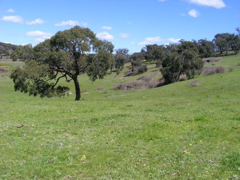 52 Loloma Place, Goulburn NSW 2580