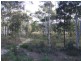 Lot 12 156 Yarralaw Road, Windellama NSW 2580
