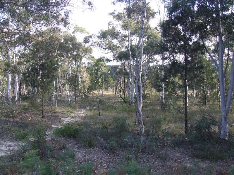 Lot 12 156 Yarralaw Road, Windellama NSW 2580