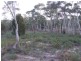 Lot 12 156 Yarralaw Road, Windellama NSW 2580