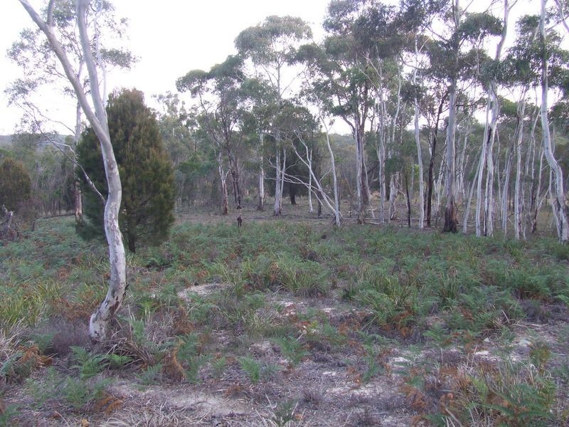 Lot 12 156 Yarralaw Road, Windellama NSW 2580
