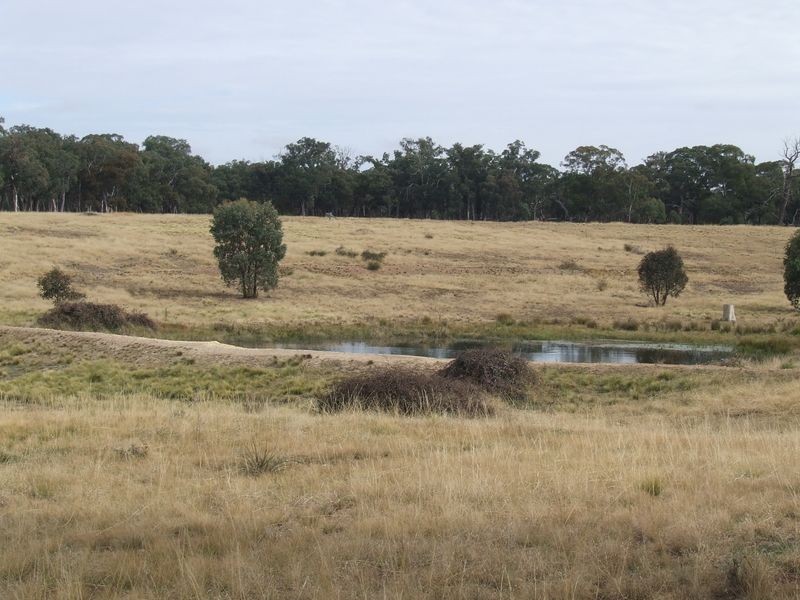 289 Fernleigh Close, Windellama NSW 2580