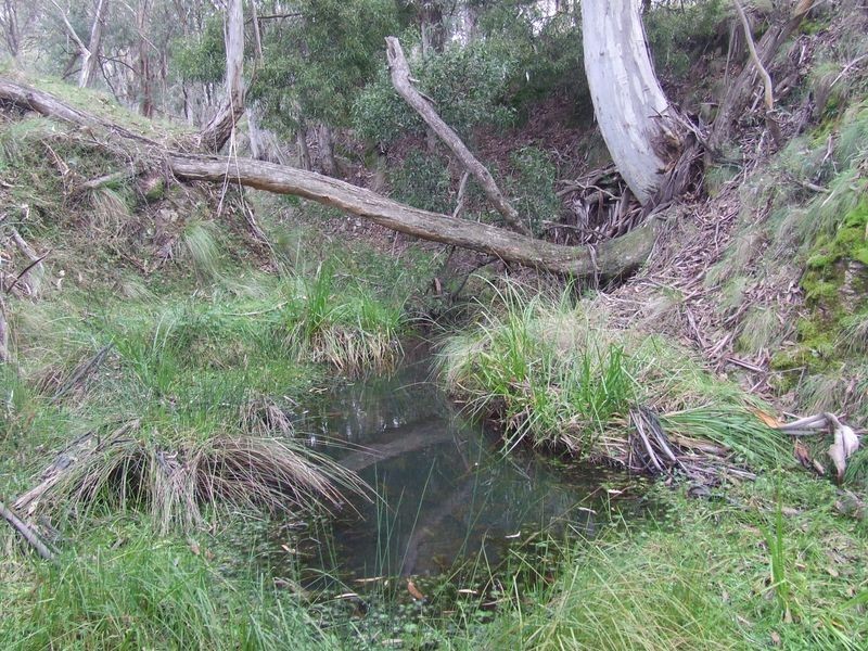 Lot 4 Jerrong Road, Taralga NSW 2580