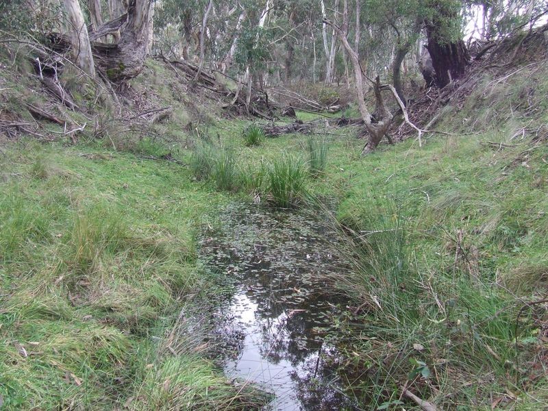 Lot 4 Jerrong Road, Taralga NSW 2580