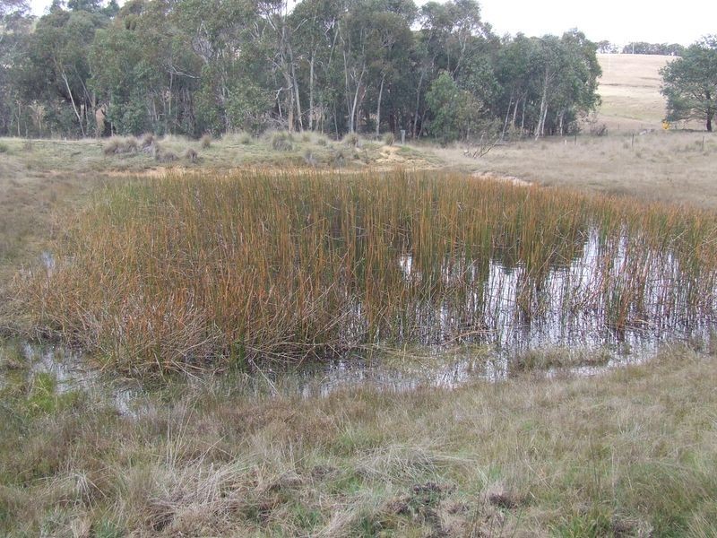 Lot 4 Jerrong Road, Taralga NSW 2580