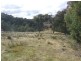 Lot 4 Jerrong Road, Taralga NSW 2580
