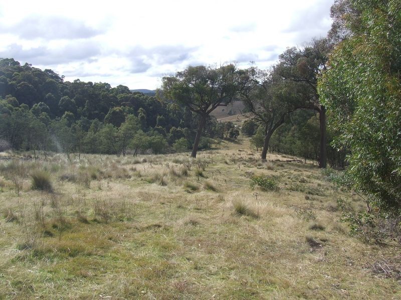 Lot 4 Jerrong Road, Taralga NSW 2580