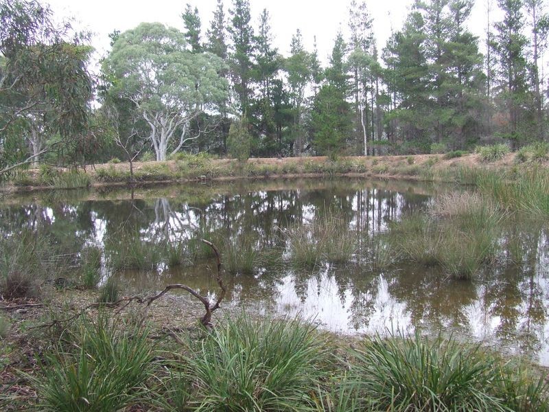 621 Towrang Road, Towrang NSW 2580