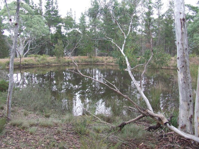 621 Towrang Road, Towrang NSW 2580