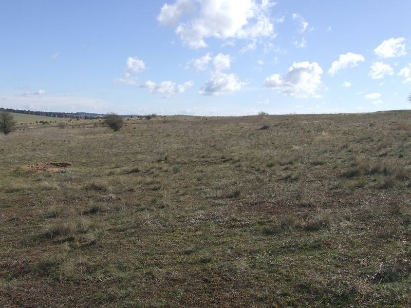 Ptn 20 Pomeroy Road, Goulburn NSW 2580