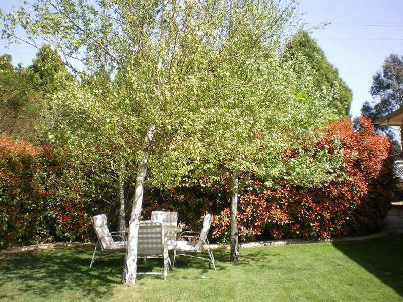 75 River Street, Goulburn NSW 2580