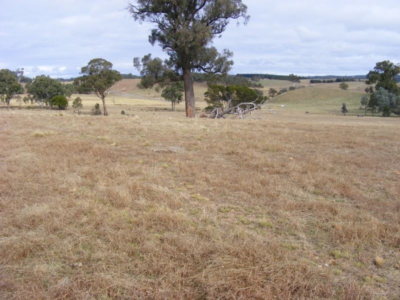 410 Lookdown Road, Bungonia NSW 2580