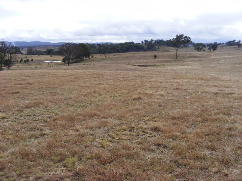 410 Lookdown Road, Bungonia NSW 2580