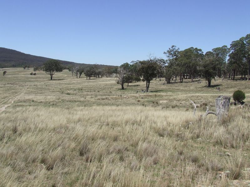 Lots 103 1 Boro Road, Tarago NSW 2580