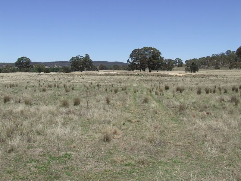 Lots 103 1 Boro Road, Tarago NSW 2580