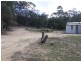 Lot 247 Fernleigh Close, Windellama NSW 2580