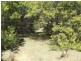 85 Half Moon Road, Mongarlowe NSW 2622