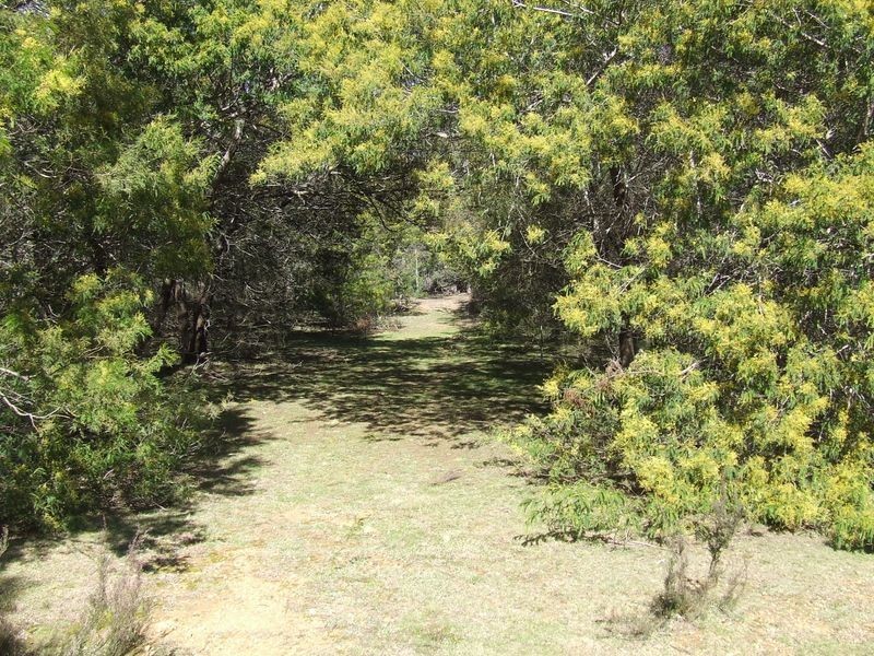 85 Half Moon Road, Mongarlowe NSW 2622
