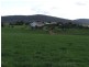 2610 Currawang Road, Currawang NSW 2580
