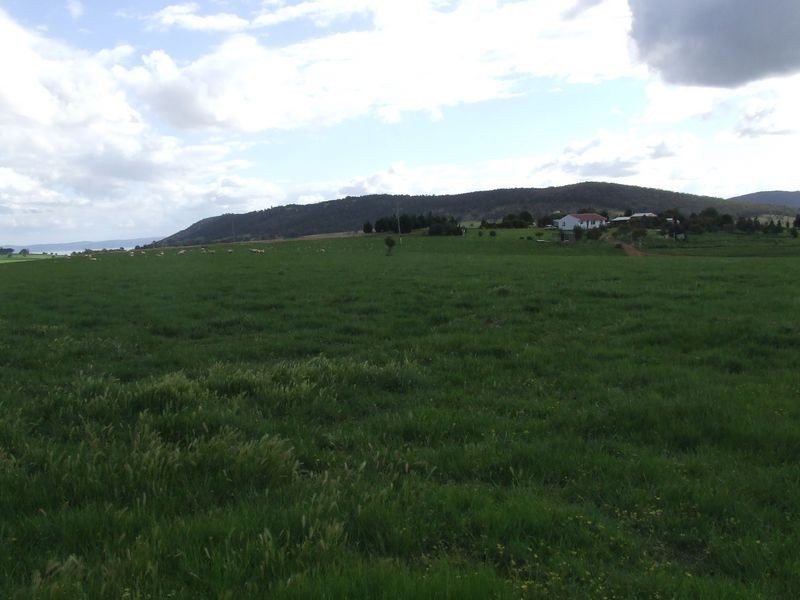 2610 Currawang Road, Currawang NSW 2580