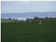 2610 Currawang Road, Currawang NSW 2580