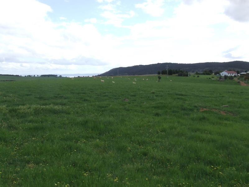 2610 Currawang Road, Currawang NSW 2580