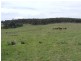 Glenalbion Craigs Road, Taralga NSW 2580