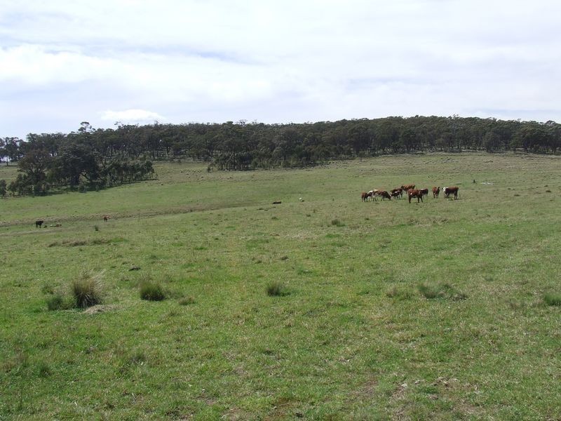 Glenalbion Craigs Road, Taralga NSW 2580
