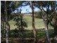 1516 Taralga Road, Tarlo NSW 2580