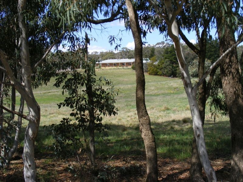 1516 Taralga Road, Tarlo NSW 2580