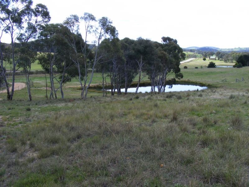 1516 Taralga Road, Tarlo NSW 2580