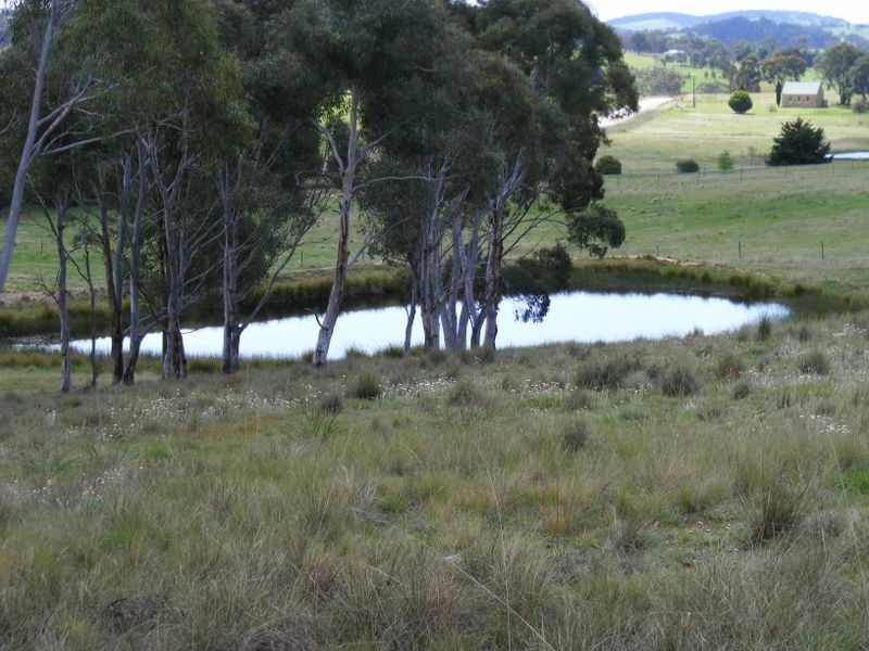 1516 Taralga Road, Tarlo NSW 2580