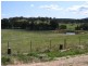 1516 Taralga Road, Tarlo NSW 2580