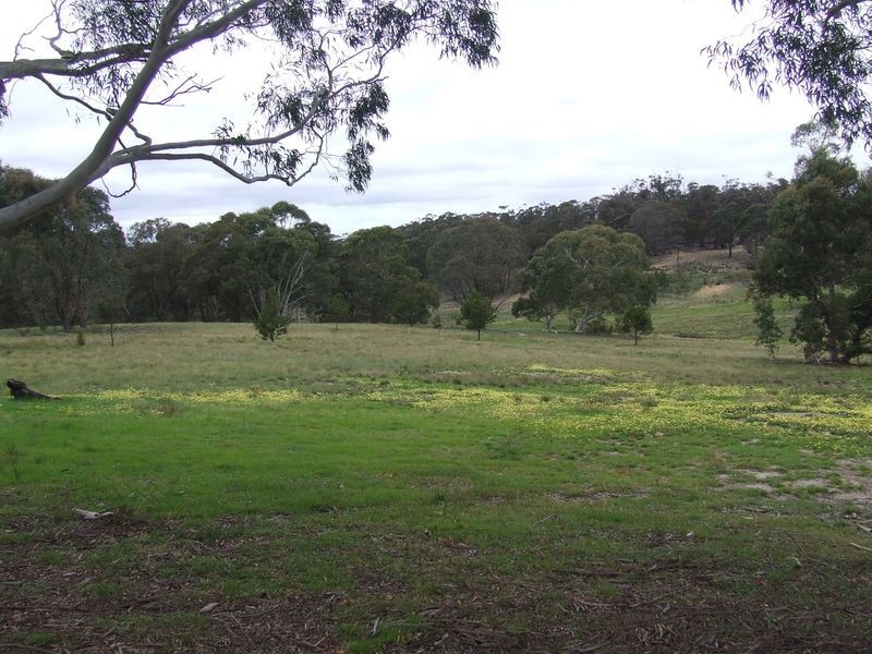 221 Bullamalita Avenue, Bannaby NSW 2580