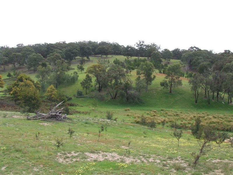 221 Bullamalita Avenue, Bannaby NSW 2580